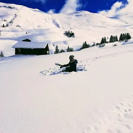 Myosotis - Ski